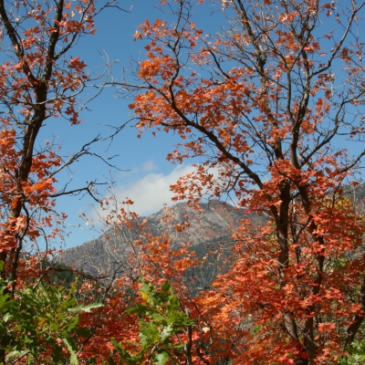 Alpine, Utah